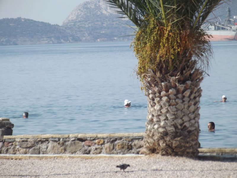Η Ελευσίνα υποδέχτηκε τον μαραθωνοδρόμο Άγη Εμμανουήλ βροντοφωνάζοντας: ΚΑΤΩ ΤΑ ΧΕΡΙΑ ΑΠ’ ΤΟΝ «ΦΟΝΙΑ»! 33 DSCF3433