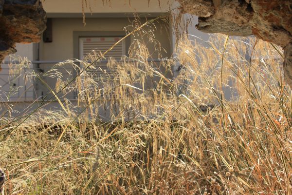 3,5 εκ.€ για την αποπεράτωση των Εργατικών Κατοικιών στο ΙΡΙΣ. Αφύλακτοι οι δύο οικισμοί! 9 F6