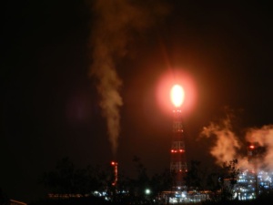 DSCN8183