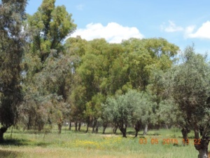 DSCN0884