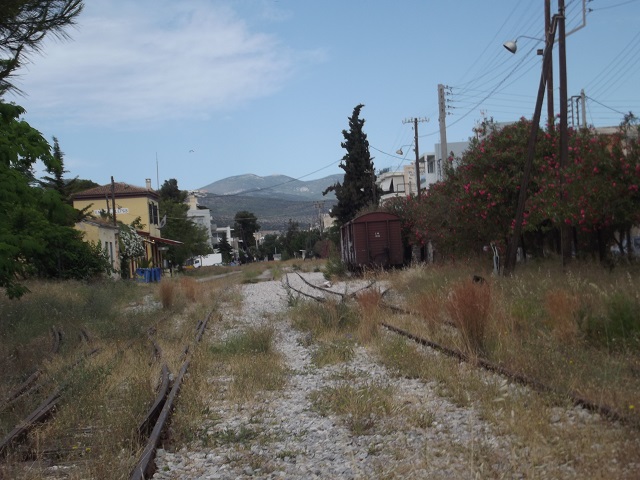 DSCF7155