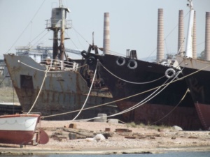 DSCF6861