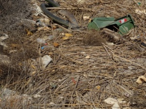 DSC02892 640x480