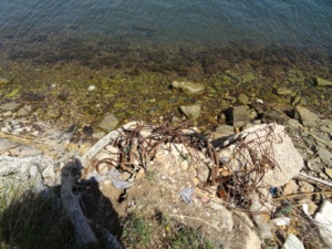 DSC02925 640x480