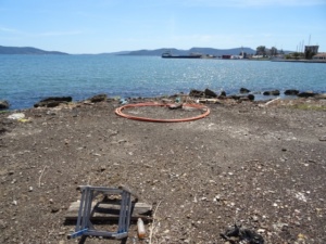 DSC03050 640x480