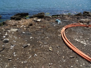 DSC03060 640x480