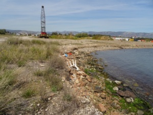 DSC03128 640x480