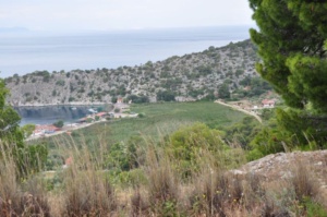 DSC 7408 Παράκτιο Έλος Ψάθας Βιλίων 1160x770