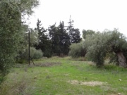 Αίτημα προς το Υπουργείο Πολιτισμού για τον χαρακτηρισμό της ΠΥΡΚΑΛ! 56 DSC00628 800x600