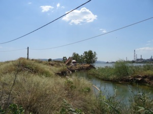 DSC07701