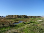 DSC01792