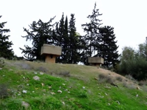Πυρκάλ: ΑΠΑΓΟΡΕΥΟΝΤΑΙ τα αυτονόητα στην Ελευσίνα και το Θριάσιο! 28 80365026 996842817356649 3784581969845682176 n